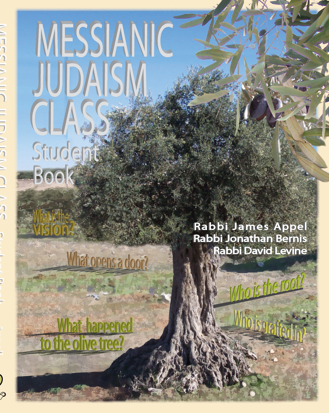 messianic jewish books1313 x 1650