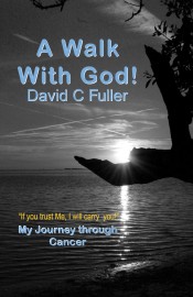 A WALK WITH GOD   My Journey Through Cancer