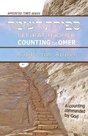 Counting the Omer