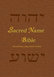 Sacred Name Bible, YHVH & Yeshua in Hebrew, KJV, hard cover book