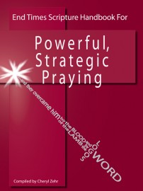 Endtimes Scripture Handbook for Powerful, Strategic Praying